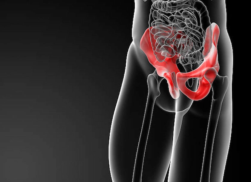 A 3D medical illustration of the human pelvis, highlighting the pelvic bones in red.