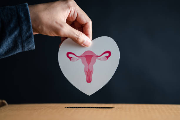 Vein Health and Menopause- What You Really Need to Know